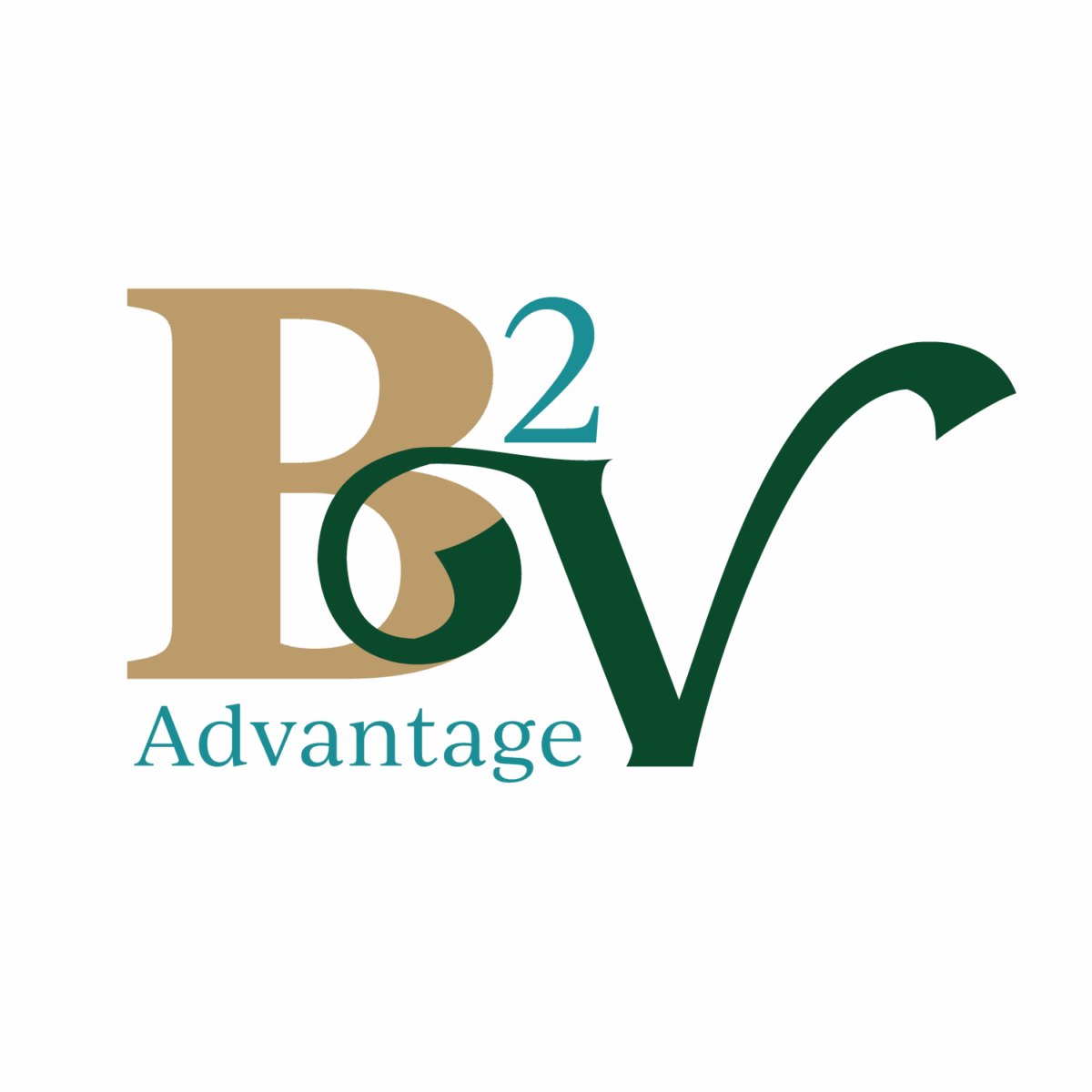 b2v logo