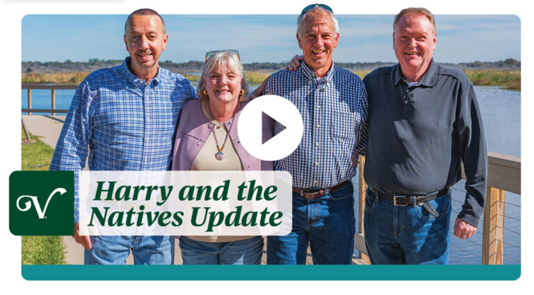 Harry Natives Announcement Video