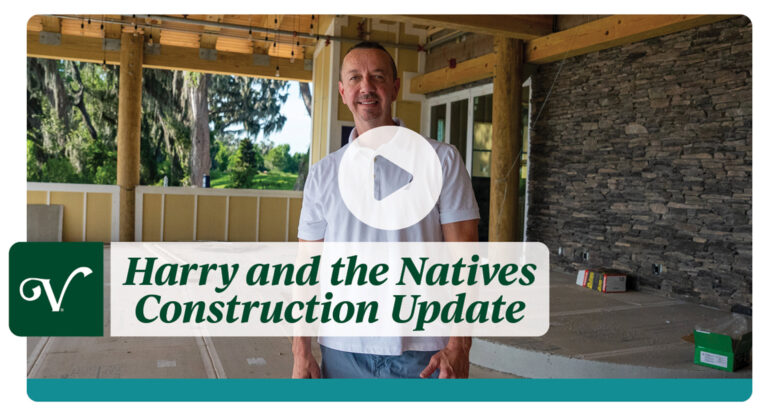 Harry Natives Design Update Video
